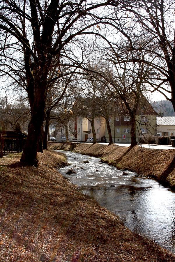 Hotel Blume Post Albstadt Dış mekan fotoğraf